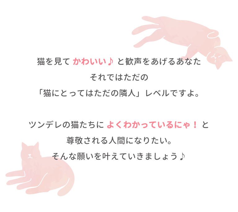 猫を見てかわいい♪と歓声をあげうあなた、それではただの「猫にとっては通りすがりの隣人」レベルですよ。ツンデレの猫たちによくわかっているにゃ！と尊敬される人間になりたい。そんな願いを叶えていきましょう♪