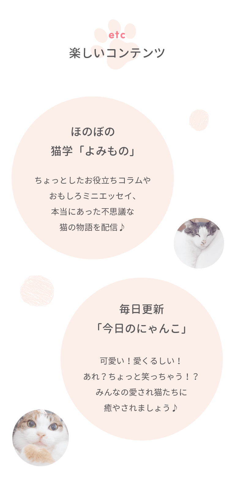 etc【楽しいコンテンツ】◎ほのぼの猫学「よみもの」…ちょっとしたお役立ちコラムやおもしろミニエッセイ、本当にあった不思議な猫の物語を配信♪ ◎毎日更新「今日のにゃんこ」…可愛い！愛くるしい！あれ？ちょっと笑っちゃう！？みんなの愛され猫たちに癒やされましょう♪