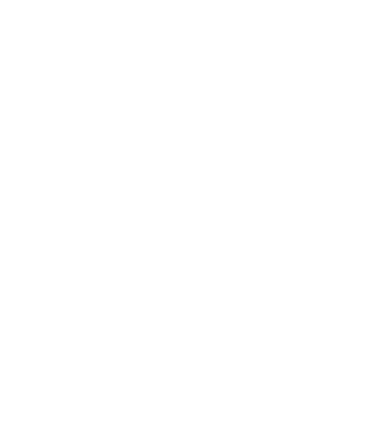 もはや、猫になろう